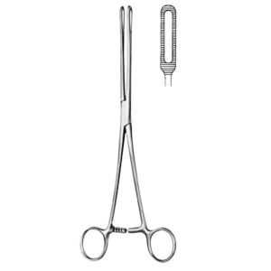 Bauer Sponge Forceps