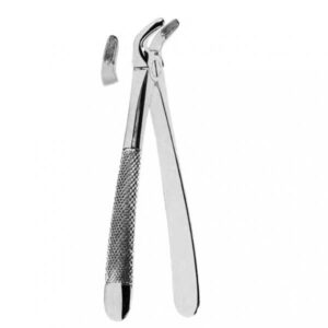 Lower Premolars