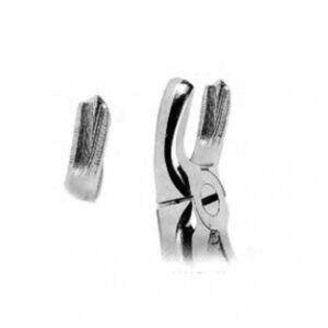 Upper Molars, Left