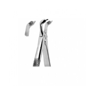 Lower Third Molars