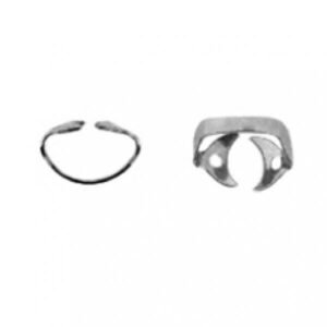 PREMOLARS