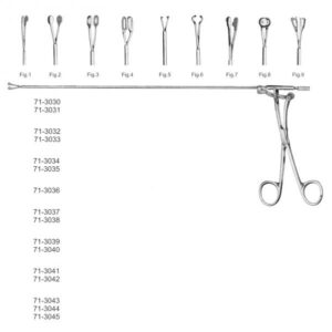 Bronchial and Esophageal Instruments