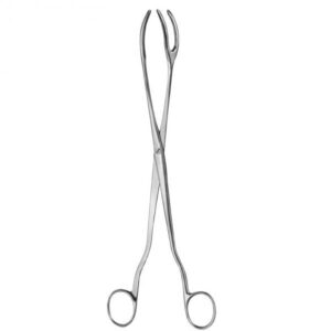 Sterilizer Forceps