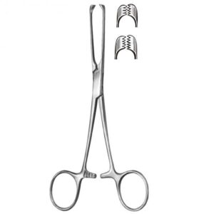 Allis Tissue Forceps