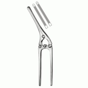 Payr Pylaorus Clamp
